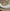 Bracelet Jonc CONCORDE