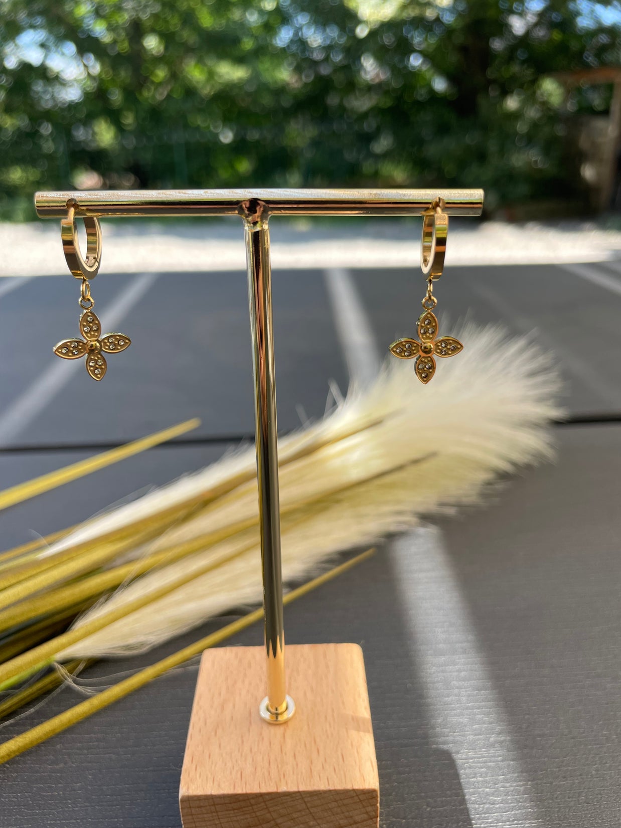 Boucles d’Oreilles DARWIN