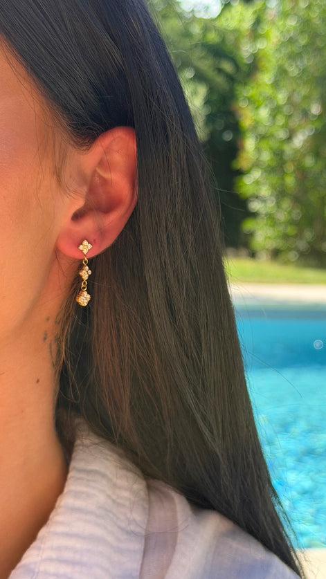 Boucles d’oreilles IBIS