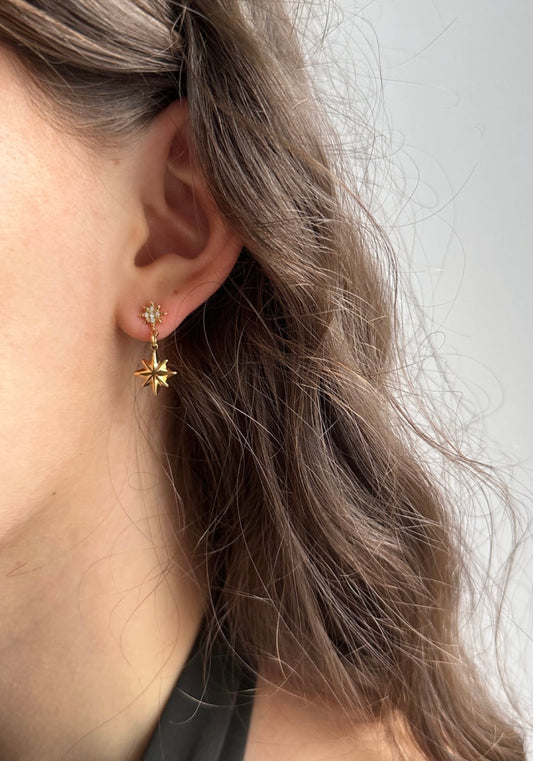 Boucles d’Oreilles SYLIZE
