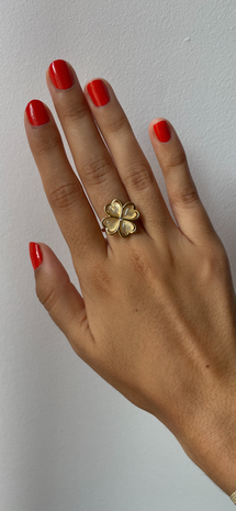 Bague BONHEUR