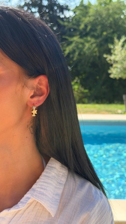 Boucles d’oreilles PÉGASE